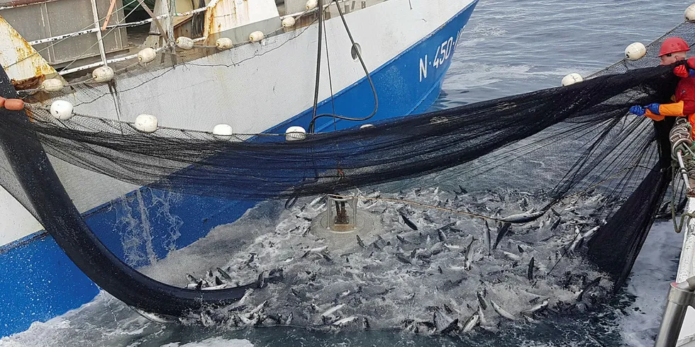 MAKRELLFISKE: Makrellfiske, her fra Lofoten med «Fugløyfisk» og «Øyaskjær».