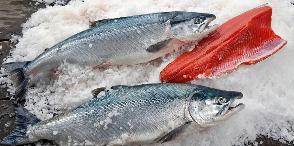 Copper River sockeye salmon prices are on the decline.