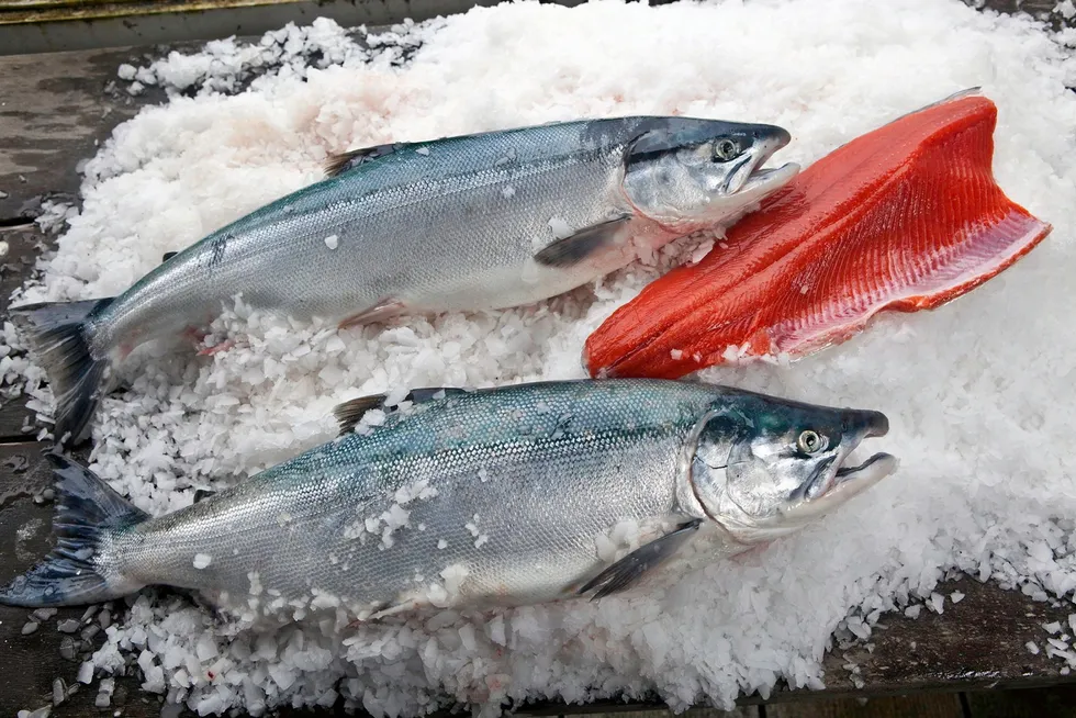 Copper River sockeye salmon prices are on the decline.