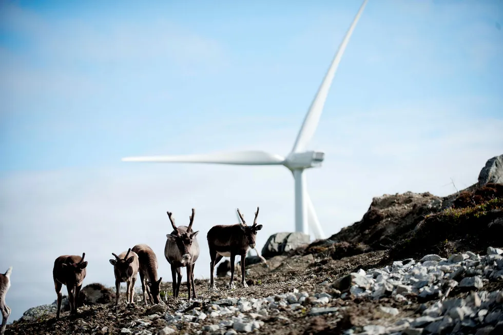 Sol- og vindrevolusjonen er i gang. Norge bør få med seg denne oppturen ved å flytte vår utenlandsformue fra fossil til global fornybar energiproduksjon, skriver artikkelforfatterne. Her fra Fakken vindpark på Vannøya. Foto: Thomas Haugersveen