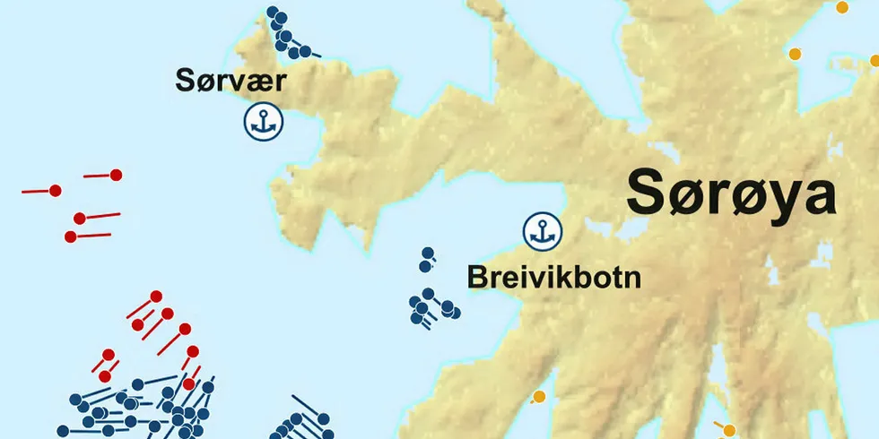 KONFLIKT I BREIVIKFJORDEN: Store garnbåter kom i helgen til Sørøya og har nå havnet i konflikt med de mindre sjarkene i området. Bildet viser garn- og linbruk utenfor Hasvik 21. april i år.