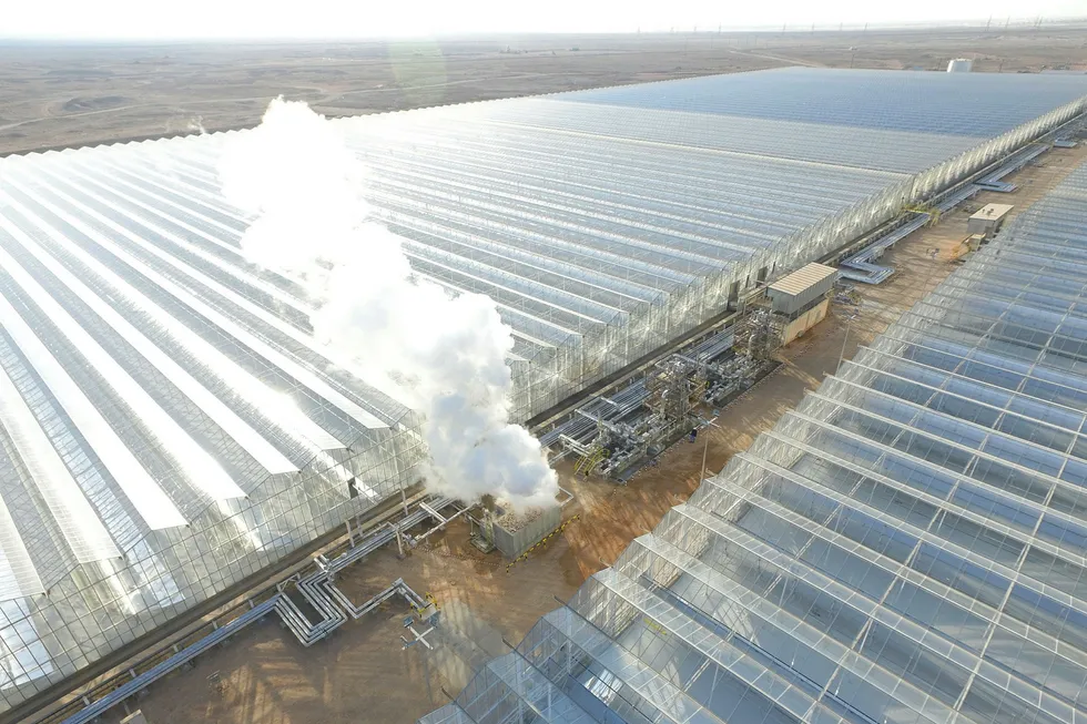 Glass act: large greenhouses at the Miraah project enclose the solar arrays and protect the equipment from dust and wind