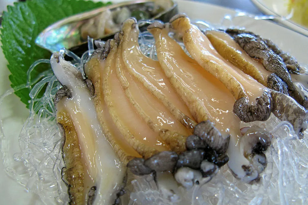 Two Australasian companies merge to create world's largest wild abalone supplier