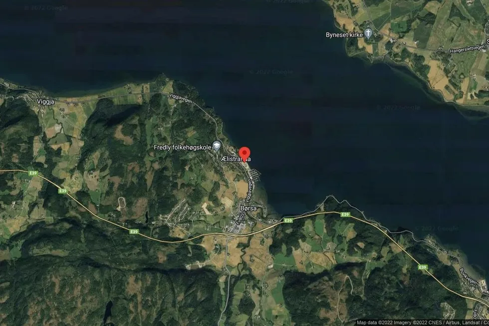 Området rundt Eliløkken 44, Skaun, Trøndelag