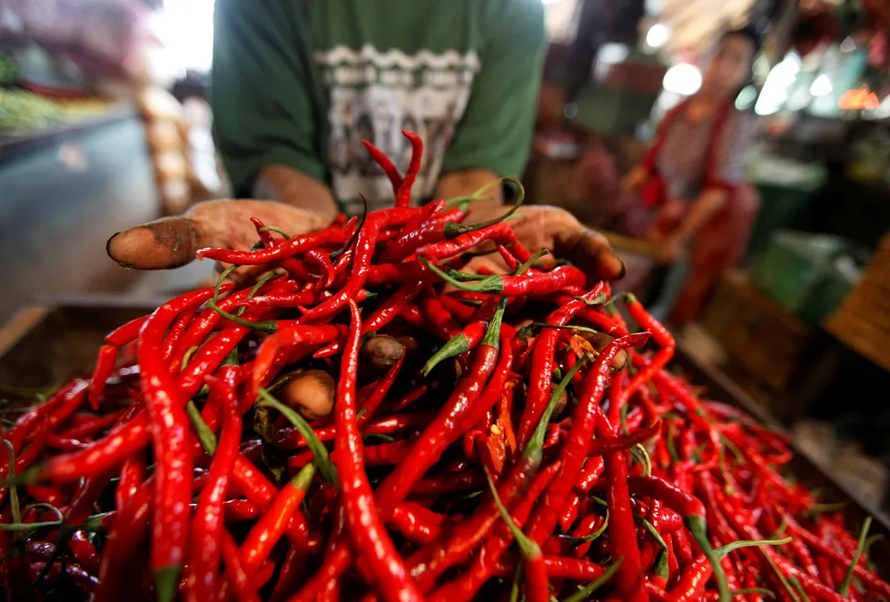 Styrken på chili måles i antall enheter på Schoville-skalaen. Foto: Fatima El-Kareem/Reuters/NTB Scanpix