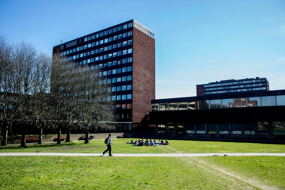 Heller enn å arbeide for å tiltrekke seg de gode studentene, slik de beste universitetene i utlandet gjør, kan det i Norge være mer hensiktsmessig å satse på kvantitet, skriver artikkelforfatteren. Her fra Universitetet i Oslo. Foto: Fredrik Bjerknes