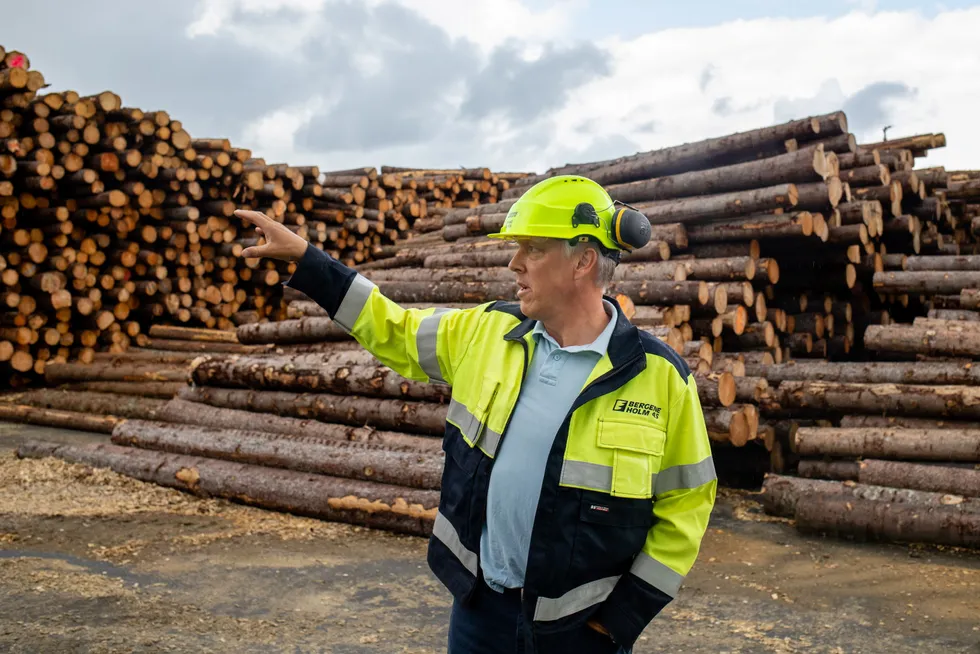 Erland Løkken i trefordedlingskonsernet Bergene Holm sier de rekordhøye tømmerprisene skaper store utfordringer for treindustrien.