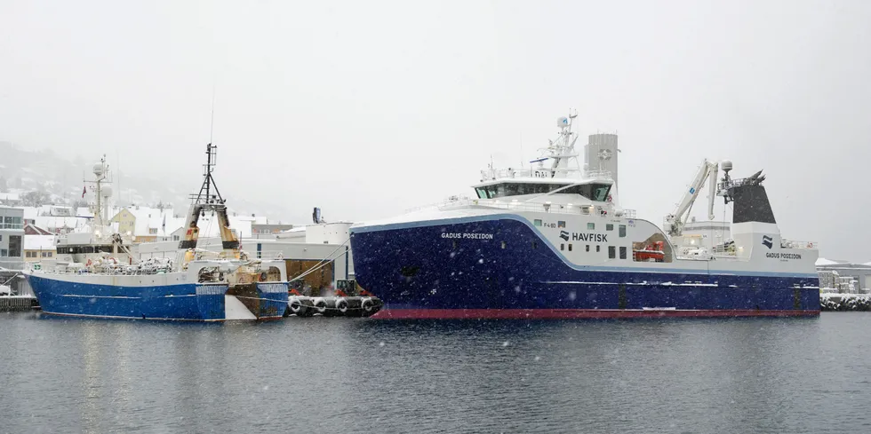 Tråleren "Gadus Poseidon", eid av Finnmark Havfiske i Ålesund har leveringsplikt først og fremst til Vardø, Båtsfjord og Kjøllefjord, men også til Honningsvåg. Her losses den ved fryseterminalen i Tromsø.