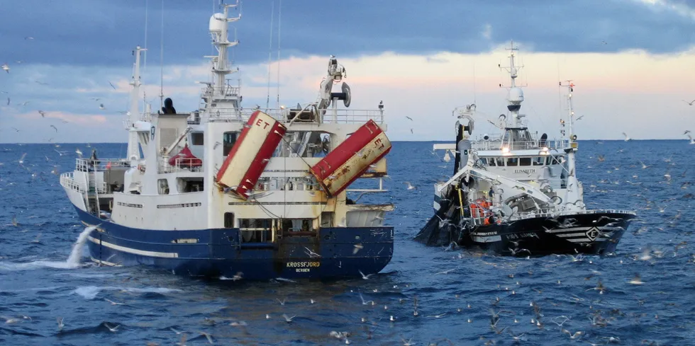 Ringnotbåtene «Elisabeth» og «Krossfjord» møtes til havs. Norske ringnotfartøy hadde et godt år i fjor. Båtene omsatte fisk for 5,6 milliarder, og satt igjen med 1,2 av dem før skatt.