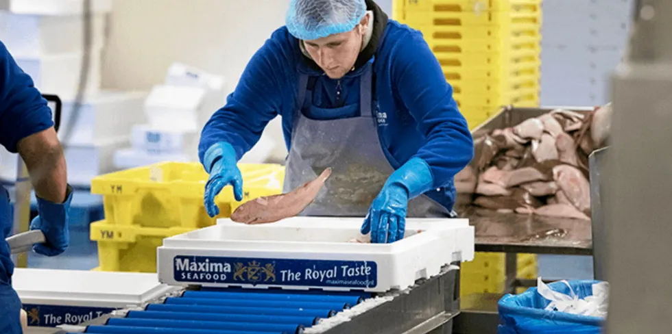 Based in Ijmuiden, the Netherlands, Maxima has been buying, processing and distributing seafood since 1974.