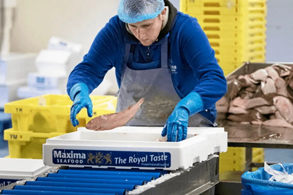 Based in Ijmuiden, the Netherlands, Maxima has been buying, processing and distributing seafood since 1974.