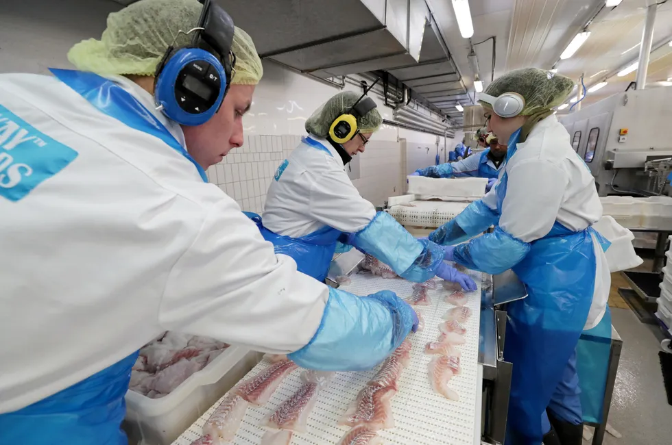 For norsk fiskeindustri vil kvotekuttet for hvitfisken føre til konkurser og nedleggelser. Det vil igjen bety økt arbeidsledighet på kysten.