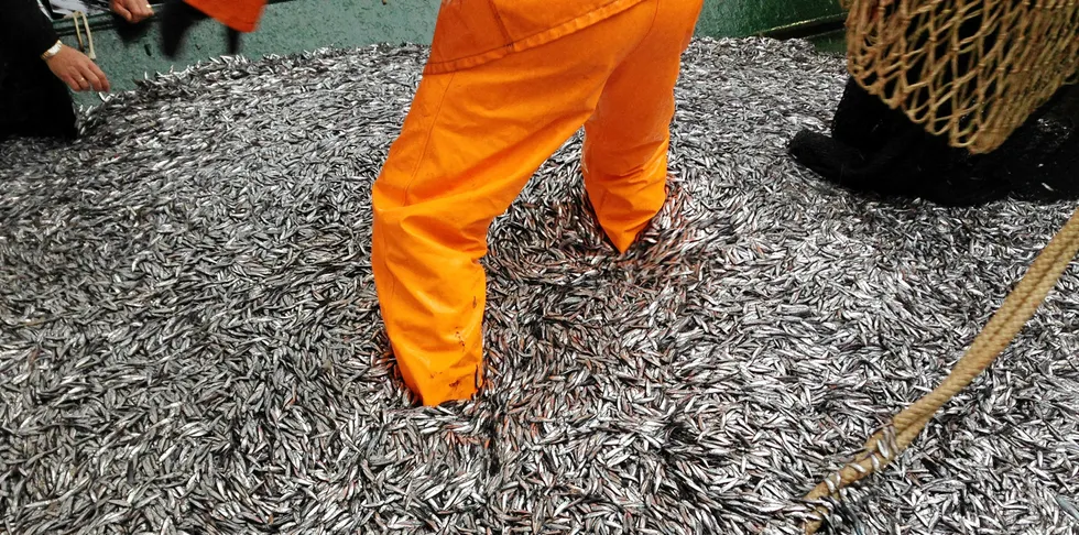 Tokt med ringnotsnurperen og tråleren «Birkeland» i forsøksfiske etter mesopelagisk fisk, som kan bli en ny råvare i fiskefôr-industrien.