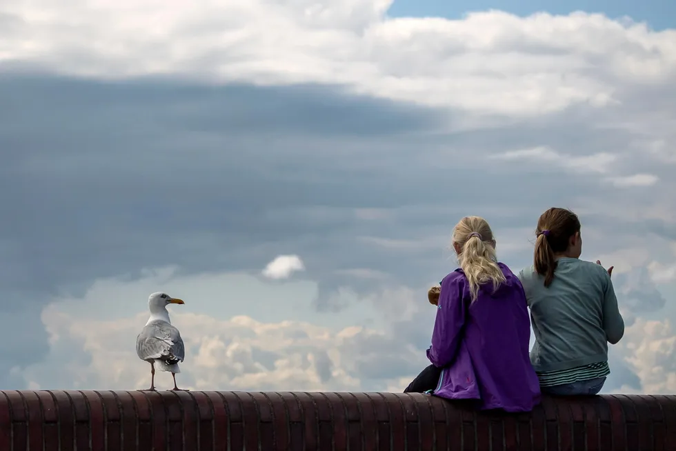 Hub plans: a seagull watches two girls on the south beach eating fish sandwiches in Wilhelmshaven, northern Germany