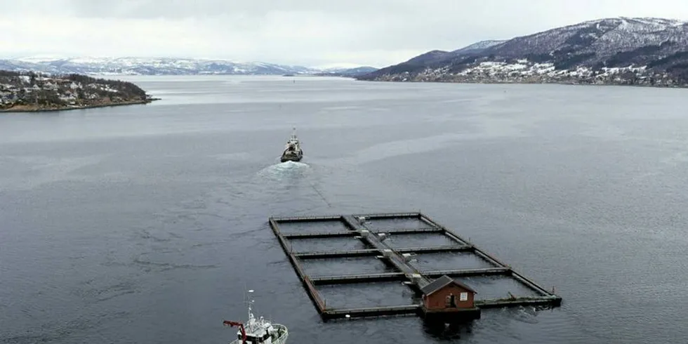 TORSKEOPPDRETT: Forholdene ligger til rette for ny satsing på torskeoppdrett, Øytrans har søkt om utviklingstillatelser.