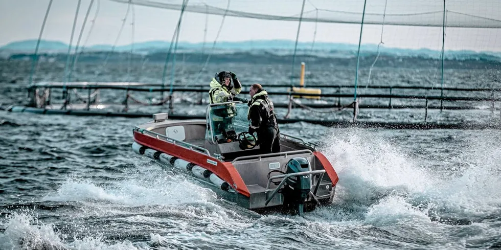 Arbeid ved én av lokalitetene til Måsøval AS på Frøya i Trøndelag. Selskapet var et av de som hadde absolutt best marginer i andre kvartal.