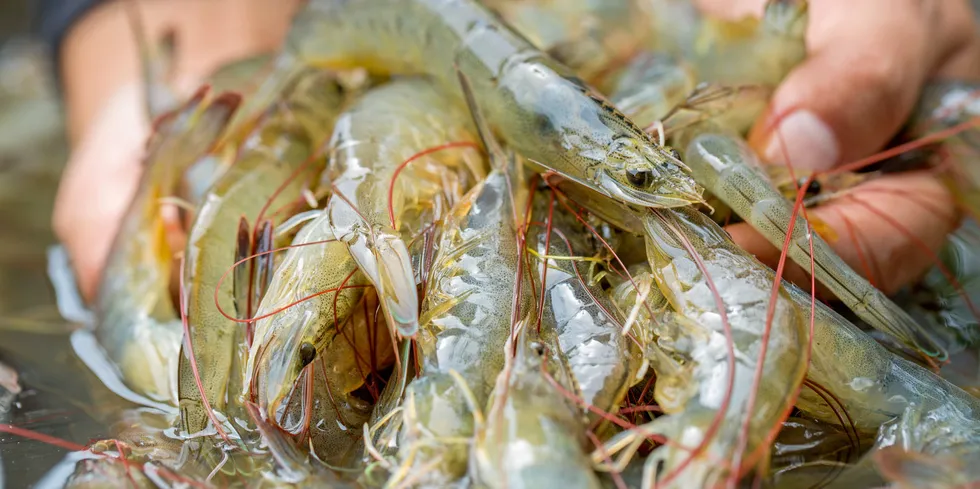Ecuadorian shrimp farmers have seen new import duties relaxed after an appeal.