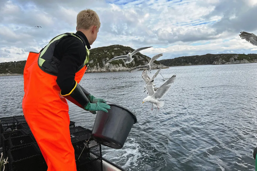 I fjor hadde Marius (14) og Mariell (19) Kollbeinsvik Haugland sommerjobb som fiskere gjennom ungdomsfiskeordningen.