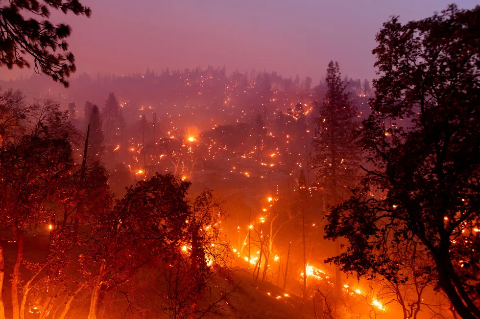 A season of daunting wildfires and flooding: climate change taking its toll