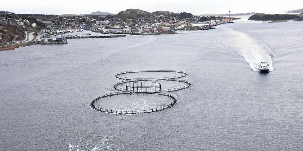 FÅR KRITIKK: Oppdretterne får kritikk for ikke å prioritere arbeidet med bærekraft-utfordringene høyt nok. Det er Fiskeribladet enig i.Foto: Tom Lysø