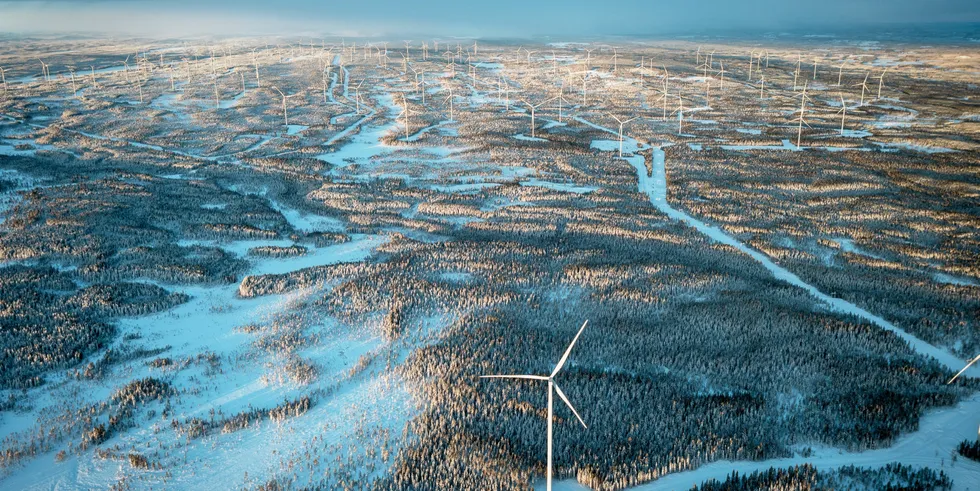 The under-construction Markbygden wind project in northern Sweden that will be one of the world's largest