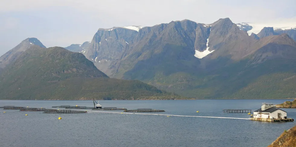 Grieg Seafood leverte best marginar i Finnmark. Her frå selskapets lokalitet i Loppa i Vest-Finnmark.