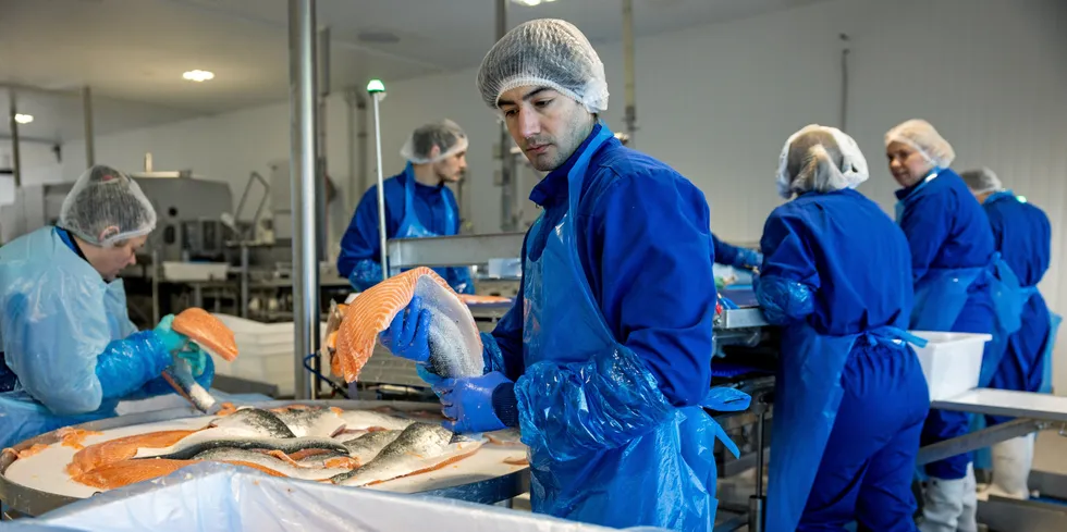 First Seafood sitt nye foredlingsanlegg for laks i Godvik, Bergen. Bilder tatt nokre veker etter første produksjonsdag. Dei framleis held på med opplæring og feilretting av maskiner. Produksjonsmedarbeider Jorge Nicolas Sosa.