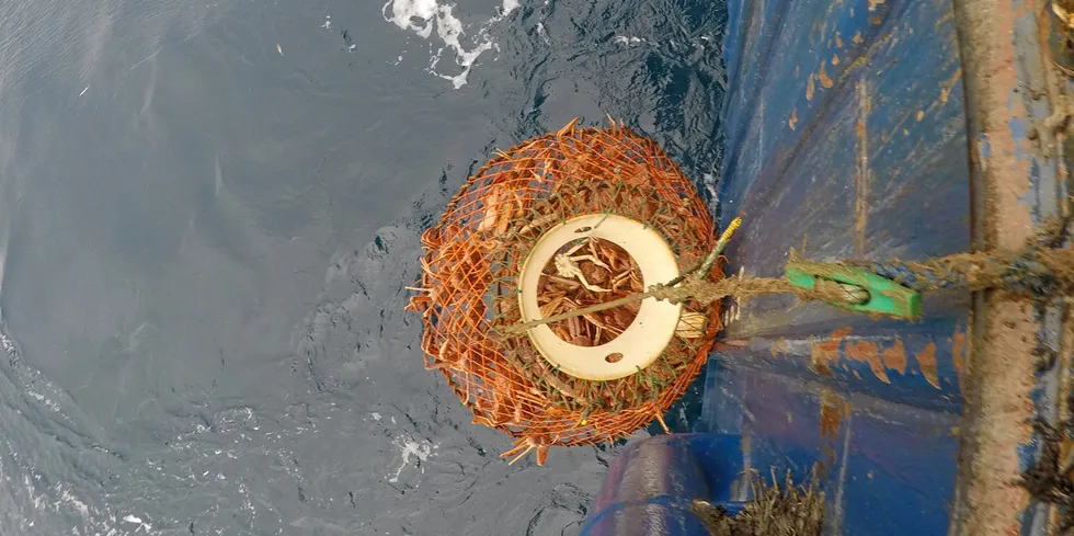 Teiner forsøpler havet og bidrar til såkalt spøkelsesfiske. Her fra et av opprydningstoktene til Fiskeridirektoratet.