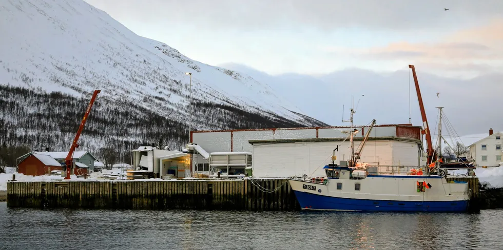 I 2018 sto 30 meter ny fiskerikai ferdig i tilknytning til Oldervik Fiskeindustri.