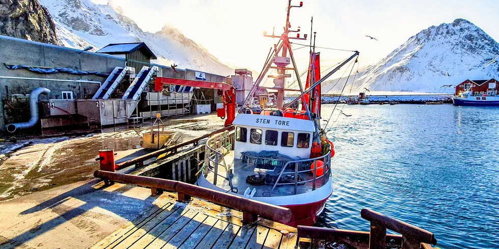 GODE FANGSTER: «Sten Tore» fra Rødøy var en av de få garnbåtene som gikk ut torsdag, og leverte midt på dagen ved Ramberg Fisk i Flakstad, mens juksaflåten lå landfast både på yttersida og innsiden av Vest-Lofoten.