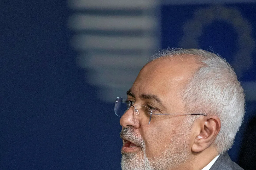 Concerted effort: Iranian Foreign Minister Mohammad Javad Zarif