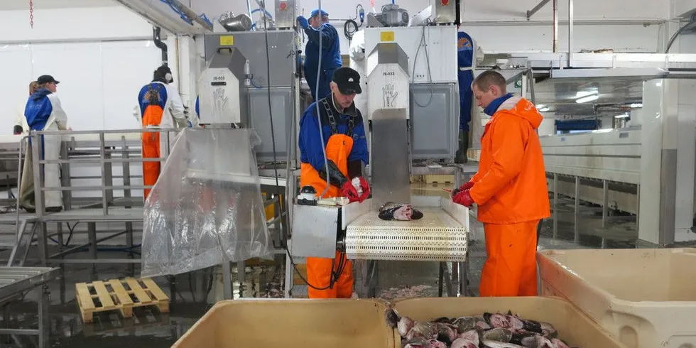 Tobø Fisk i Havøysund får nye eiere. Foto: Jørn Mikael Hagen