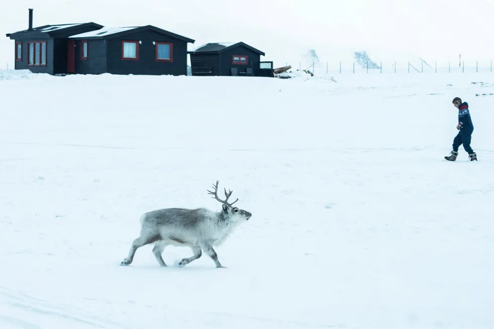 Svenske og danske nasjonalparker har tre-fire ganger så mye penger og personell som i Norge, skriver Øystein Aas. Bildet er fra Svalbard.