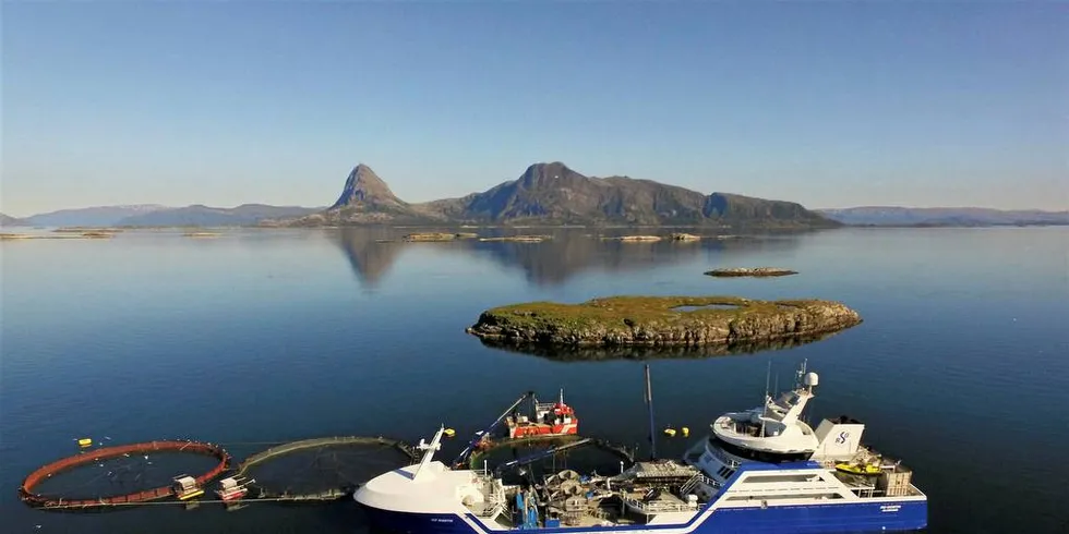 FISKE RUNDT MERDENE: Brønnbåten «Ro-North» på Lovundlaks’ lokalitet Kveitholmen, i Nesna kommune på Helgelandskysten i Nordland. Øya Tomma i bakgrunnen. Bør det åpnes opp for fiske rundt merdene? spør en gruppe forskere.Foto: Frode Johansen