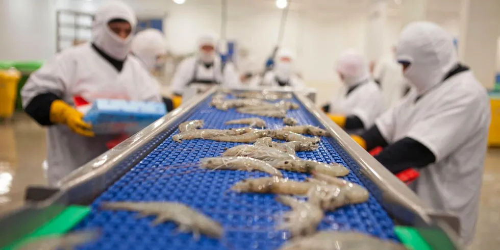 Ecuador shrimp producers see Chinese business far off peak levels into 2021 while pandemic lasts. Ecuador shrimp.