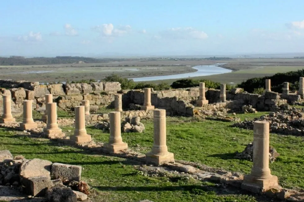 Namesake: Roman archaeological site in Lixus, Morocco