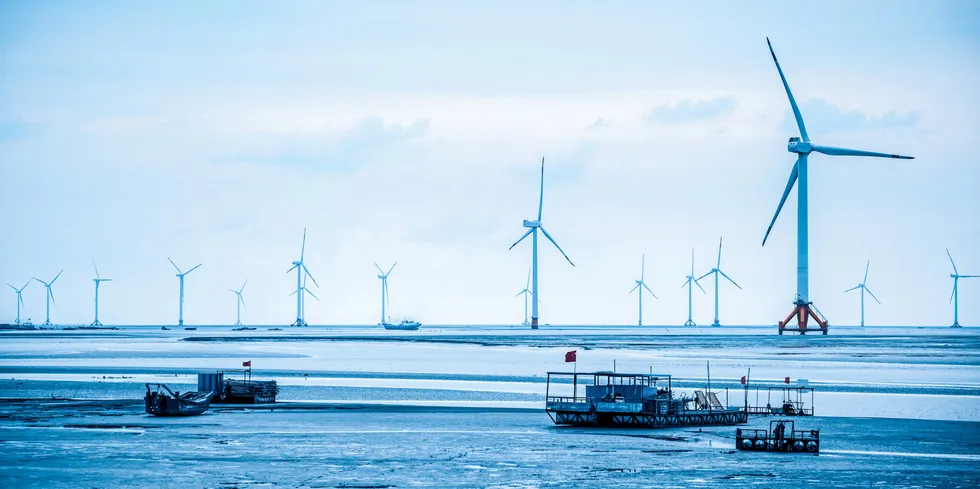 Can wind fill the sails of offshore aquaculture?