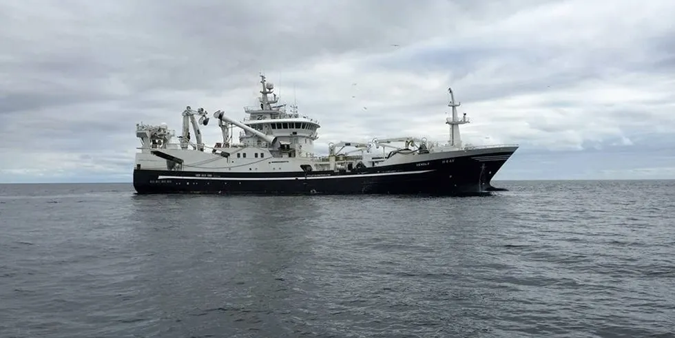 «Vendla» ved Island i fjor i fiske på ikke-miljøsertifisert lodde. I år blir norsklandet lodde MSC-sertifisert på linje med den islandske.