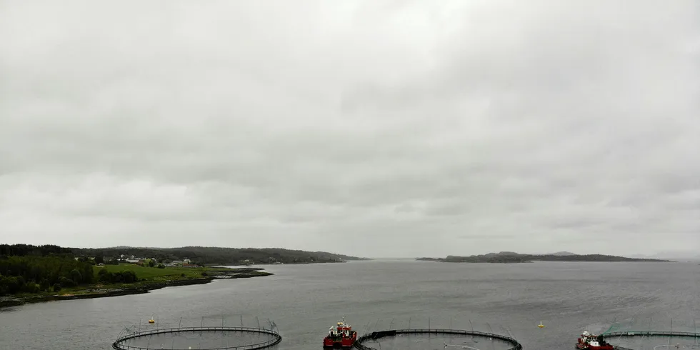 Lerøy hadde lavere slaktevolum i årets tredje kvartal sammenlignet med tredje kvartal i fjor. Her Lerøy Midts lokalitet Badstuvika utenfor Hitra.