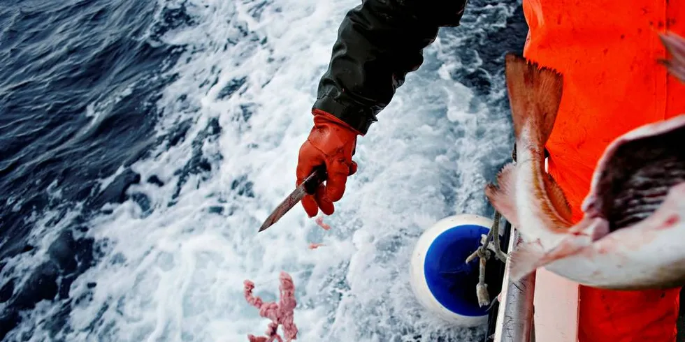 Bare ekstreme tiltak kan begrense oppvarmingen til 1,5 grader, ifølge klimarapporten fra FNs klimapanel. Foto: Thomas T. Kleiven, DN