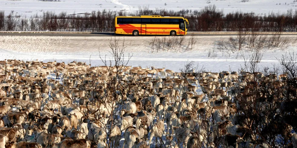 Mens reindriftsnæringa blir beskytta og hegna om på alle mulige vis, blir oppdrettsnæringa motarbeida så det holder, skriver Oddmund Enoksen.