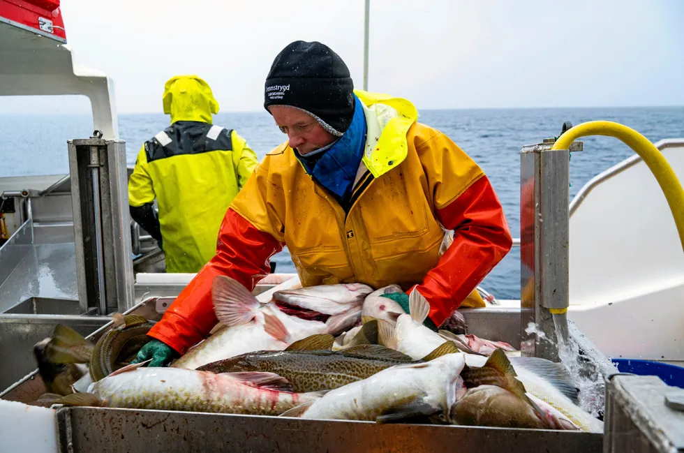 Jens-Einar Bjørkås Johnsen er leder i Båtsfjord Fiskarlag, som nå har tatt standpunkt på hva de mener er beste vei videre for organiseringen av Norges Fiskarlag.