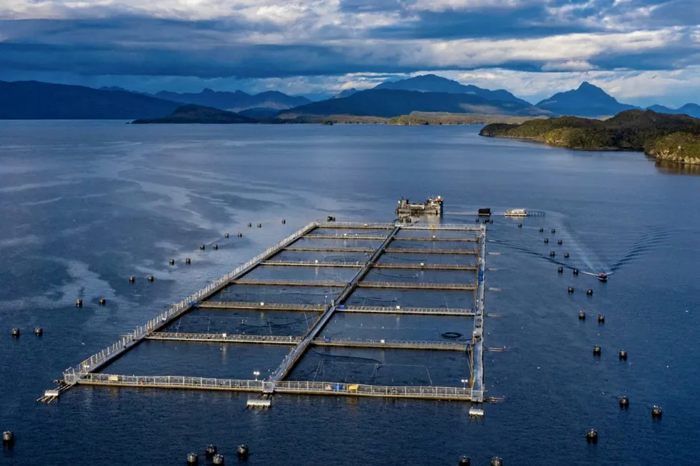 One of Multi X's salmon farming operations. On this week's IntraFish Podcast, CEO Cristian Swett says the outlook for Chile is positive, despite social license headwinds.