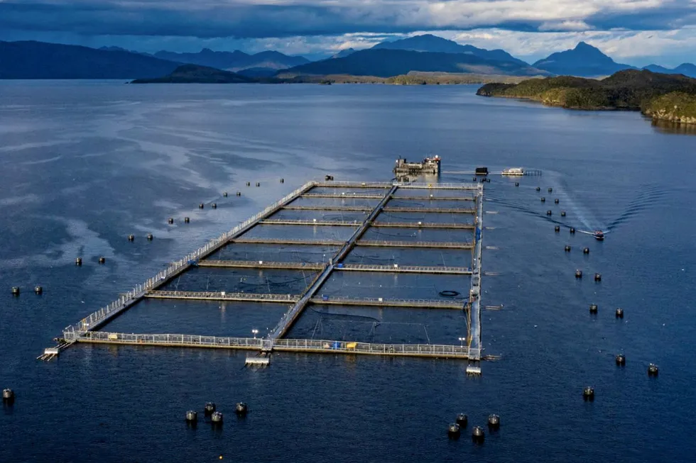 One of Multi X's salmon farming operations. On this week's IntraFish Podcast, CEO Cristian Swett says the outlook for Chile is positive, despite social license headwinds.