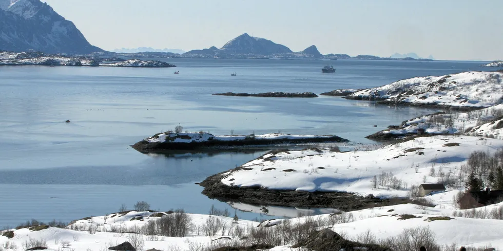 BRA FISKE: De siste årene har lofotfisket nærmest glimret med sitt fravær inne på Austnesfjorden. I år har sild og kysttorsk endret situasjonen.