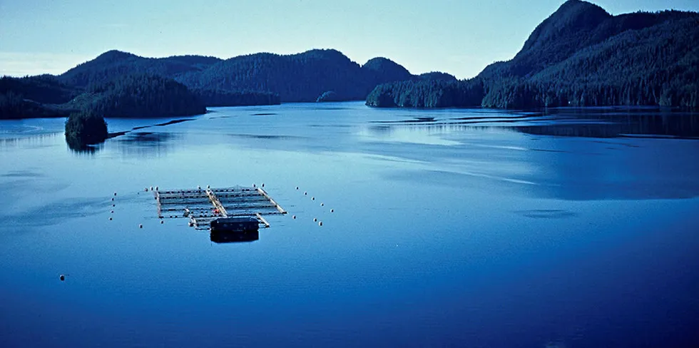 BC Salmon Jeremy Dunn. BC Salmon Farm.