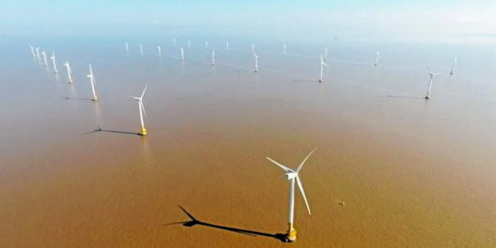 Donghai Bridge offshore wind farm.