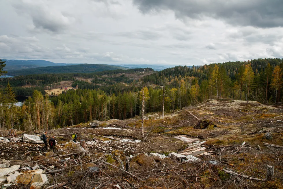 Flatehugst og omdanning til jordbruksareal kategoriseres som avskoging i EUs nye regelverk, men ikke hugst for å gi plass til veier eller byer, ifølge kronikkforfatteren.