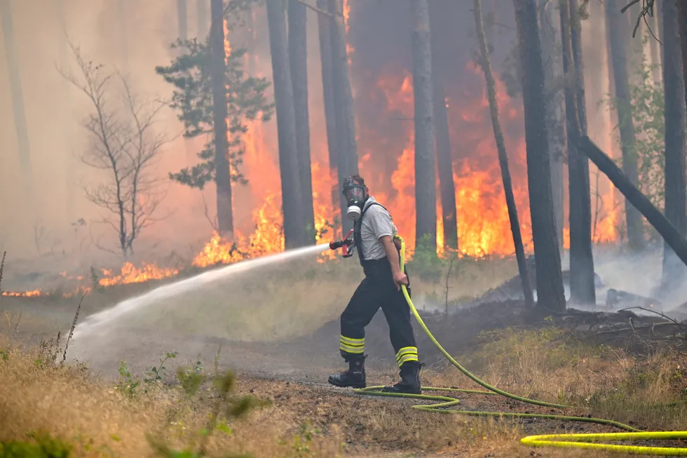 En brannmann prøver å slukke en skogbrann nær Thiendorf, nord for Dresden i Tyskland. Hetebølgen har flyttet seg nordover i Europa.