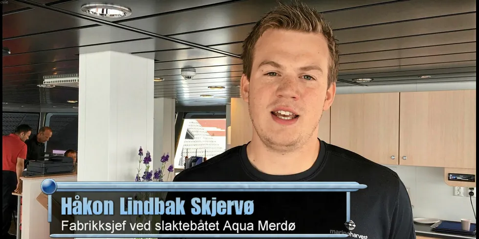 Håkon Lindbak Skjervø i Marine Harvest